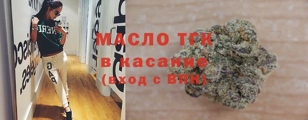 гидра Богородск