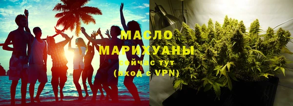 гидра Богородск