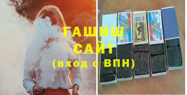 гидра Богородск