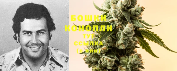 прущая мука Богородицк
