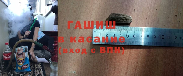 гидра Богородск